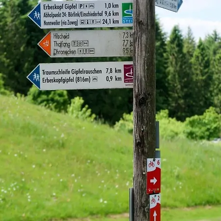 Himmelberg-3 By Interhome Appartamento Thalfang